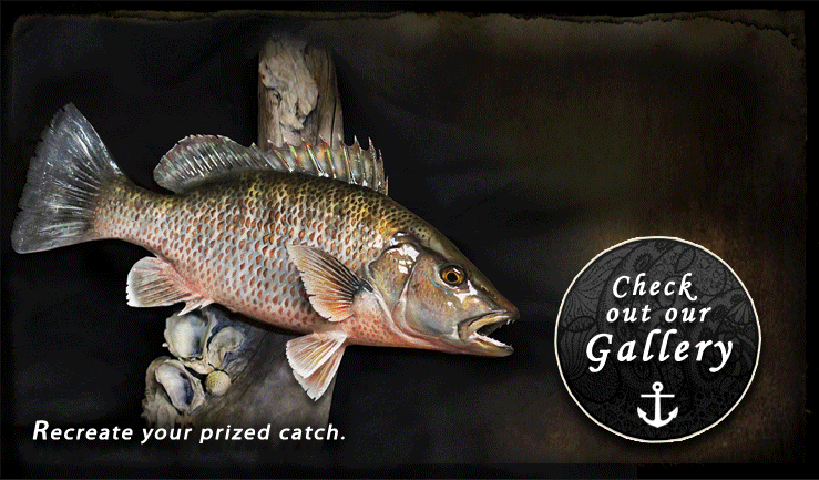 Marine Fiberglass Fish Mounts