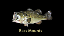 largemouth replicas