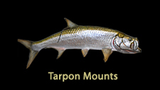 Tarpon Replicas