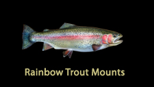 Trout Replicas
