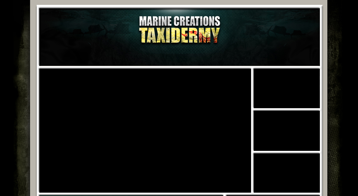 FIsh Sharks Sailfish Mount Price