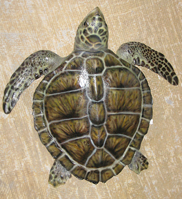 seaturtle replicas for sale