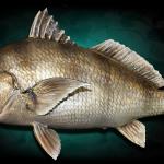 26" Black Drum replica