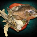 10" Bluegill Fish Replica