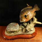 Bluegill Taxidermy Fish Mount
