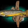 18" Brown Trout Replica Mount