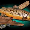 20"   Brown Trout (male)  replica