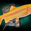23" Palomino Trout replica