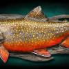 24" brook Trout replica