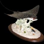 20" wingspan eagle ray