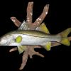 20" Snook replica mount