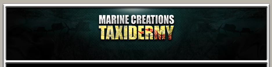 Marine Creations Taxidermy Fish Mounts